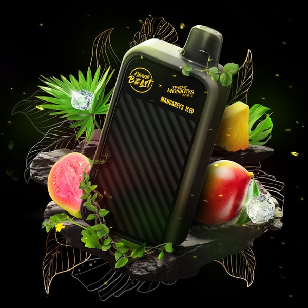 Waka Vaping Flavour Beast Beast Mode Max 2 Review