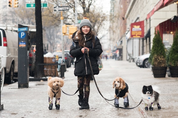 Walkee Paws Review
