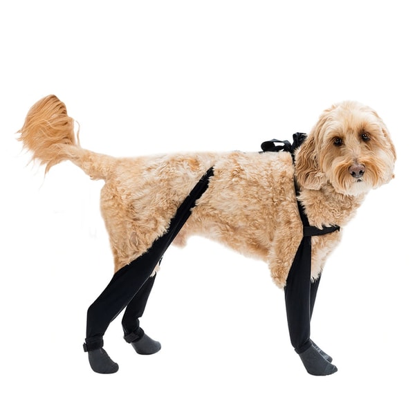 Walkee Paws Deluxe Easy-On Dog Boot Leggings Review