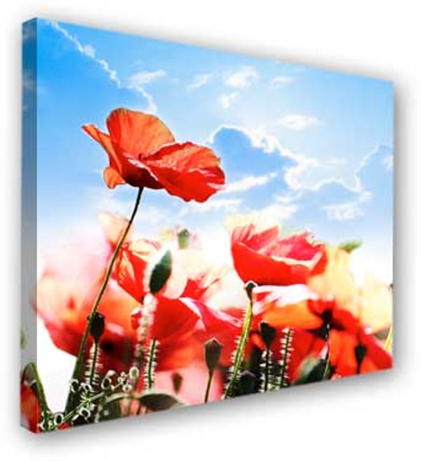 WallCanvas.co.uk XXL Wall Canvas Review