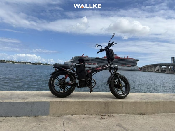 Wallke Ebike Review