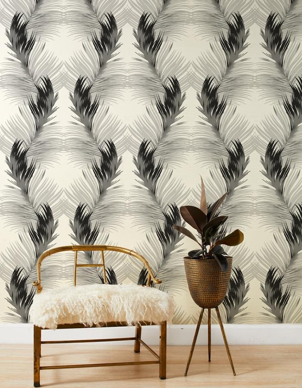 Wallshoppe Belafonte Palm Review