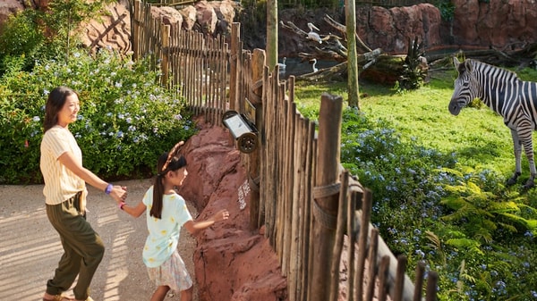 Walt Disney Travel Company Review