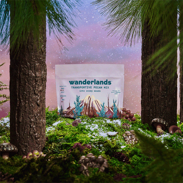 Wanderlands Into Snowy Woods Review