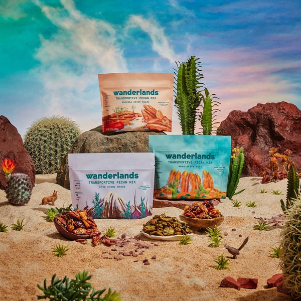 Wanderlands The Starter Snacks Sampler Review