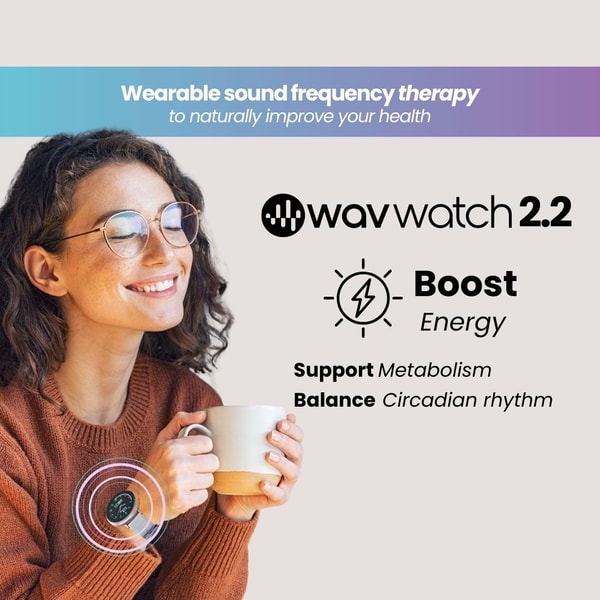 WAVwatch 2.2 Review