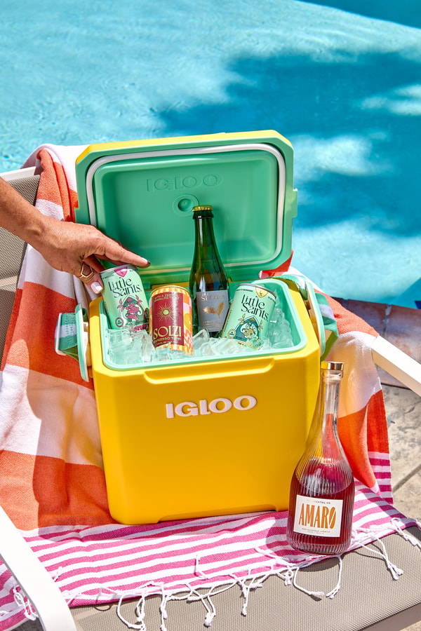 We Are Raising The Bar Poolside Service Kit Review