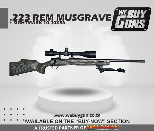 Overview of We Buy Guns