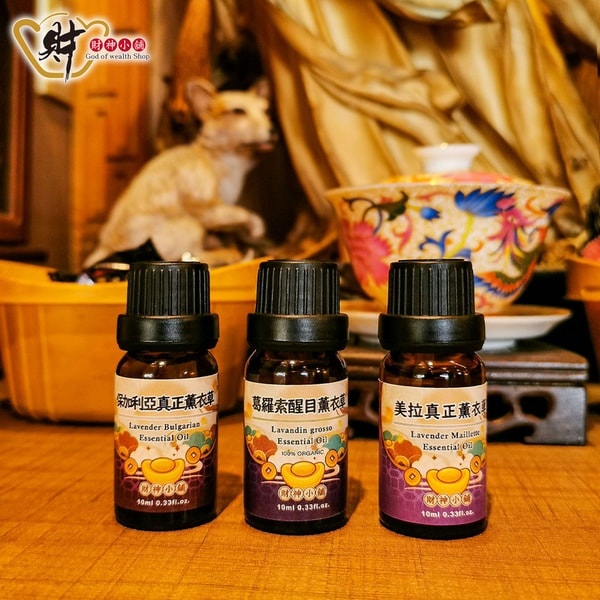 关于 Wealth Shop 888