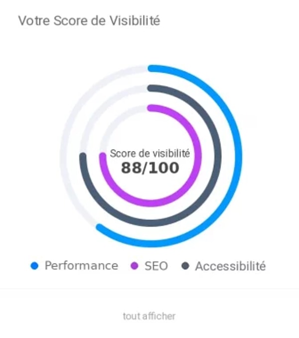 WebAuditFlash Avis