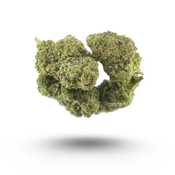 Cannaconda Tangie Tonic Cali CBD Bl&uuml;ten Bewertung