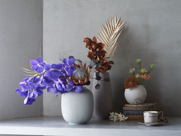 Wedgwood Review