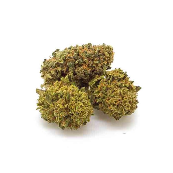 Weedzard Amnesia Haze Recensione