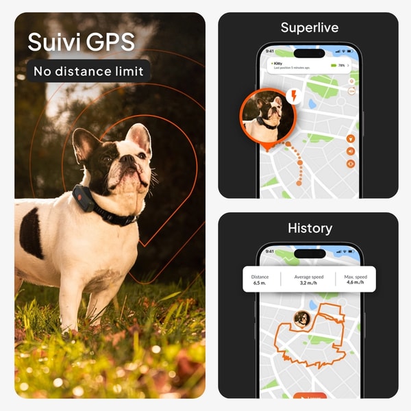 Weenect XS Dog Tracker Review