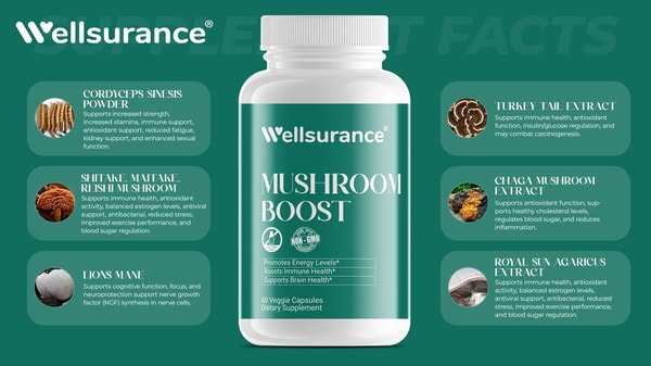 About Wellsurance