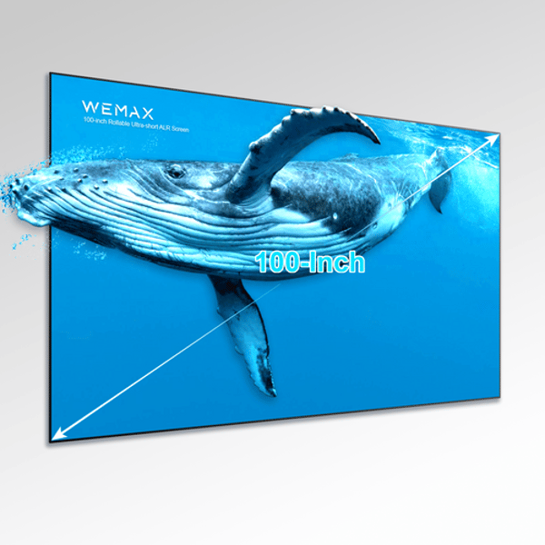 WEMAX 100-inch ALR/CLR Projection Screen Review