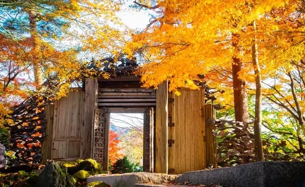 Wendy Wu Tours Japan Uncovered Review