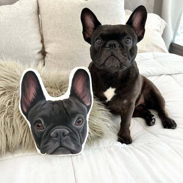 West & Willow Custom Shaped Pet Portrait Pillows Review