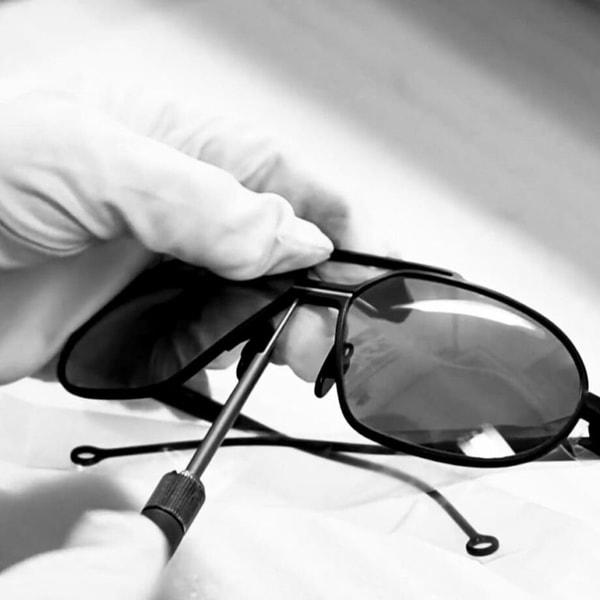 About Westy Sunglasses