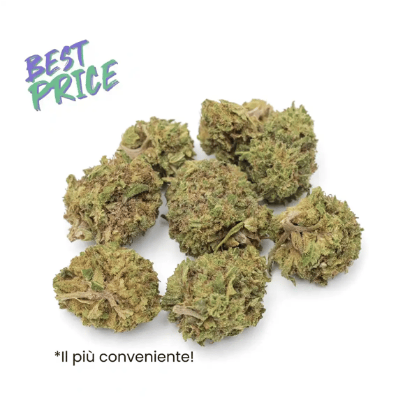 WeWeed Silver Haze &rsquo;26 - baby buds Recensione