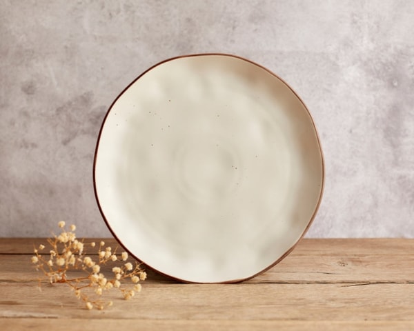 What a Host Review: What a Host Florence Porcelain Round Dinner Plate Reviews