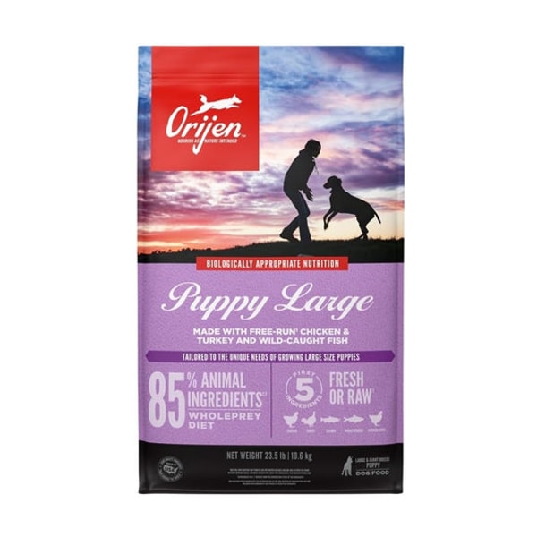 Whiskers N Paws Large Puppy Formula Chicken & Turkey Dog Dry Food (USA) Review