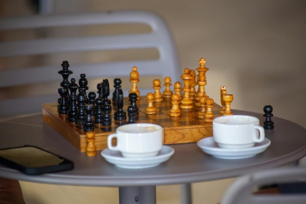 Wholesale Chess Review