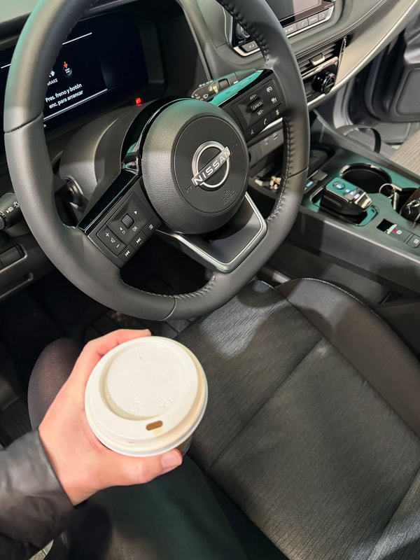Overview of Wiber Rent A Car 