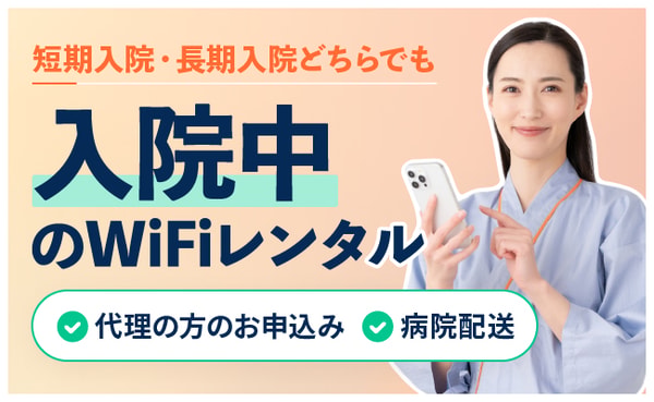 WiFiGO レビュー