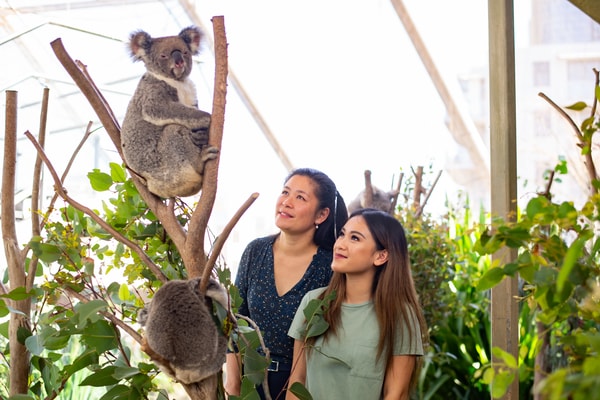 About WILD LIFE Sydney Zoo