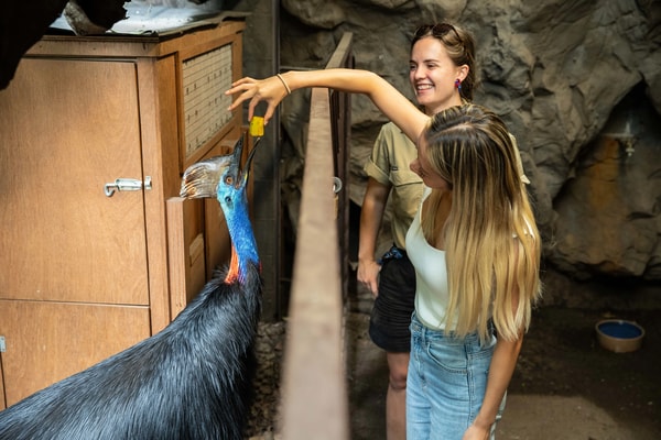 WILD LIFE Sydney Zoo Review