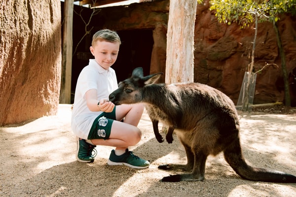 WILD LIFE Sydney Zoo General Admission Review