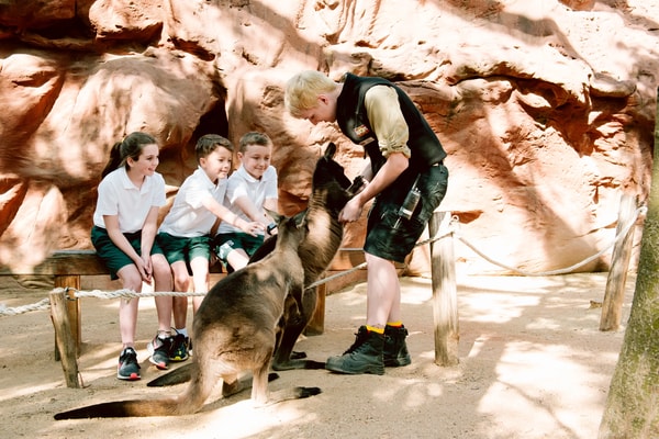 WILD LIFE Sydney Zoo Combo Tickets Review