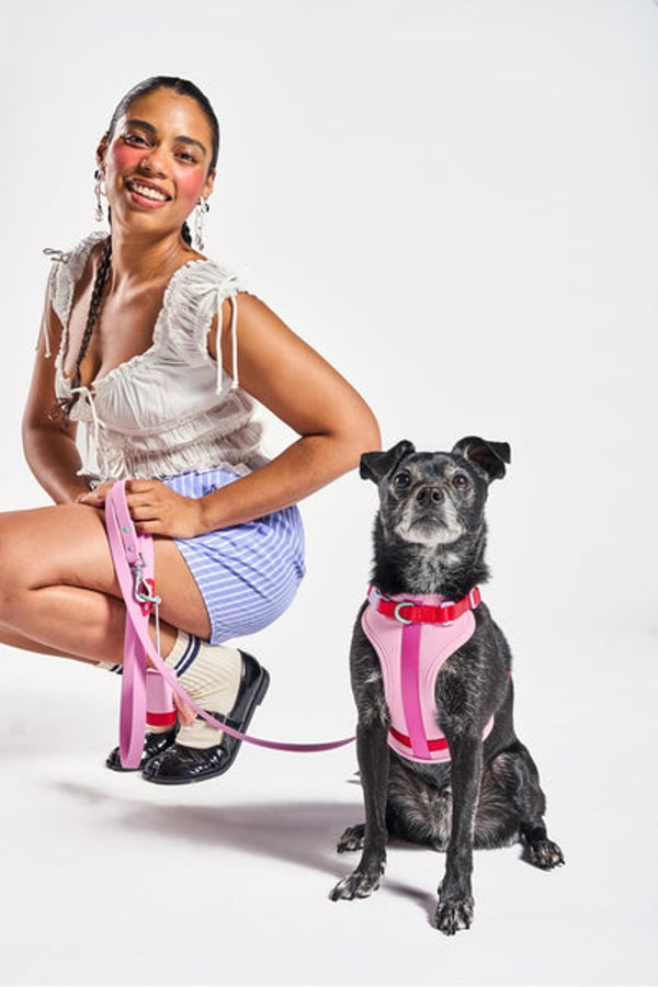 Wild One Cushioned Dog Harness Review