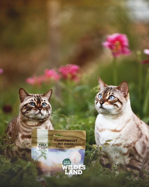 Wildes Land Bewertung