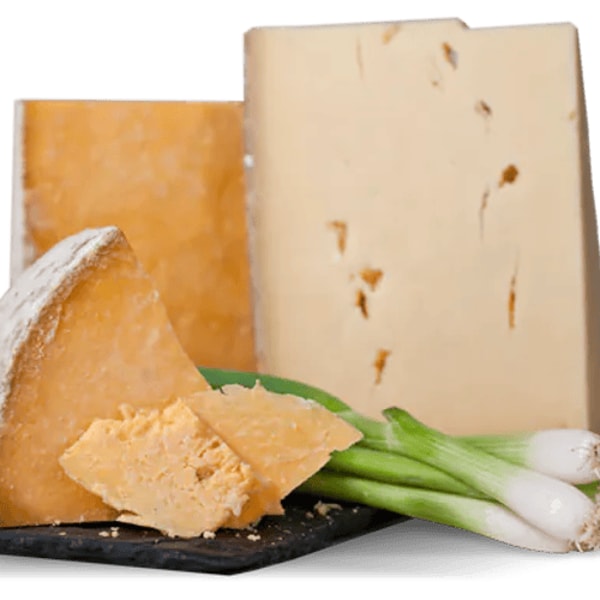 Wine of the Month Club Gourmet Cheese Club Review