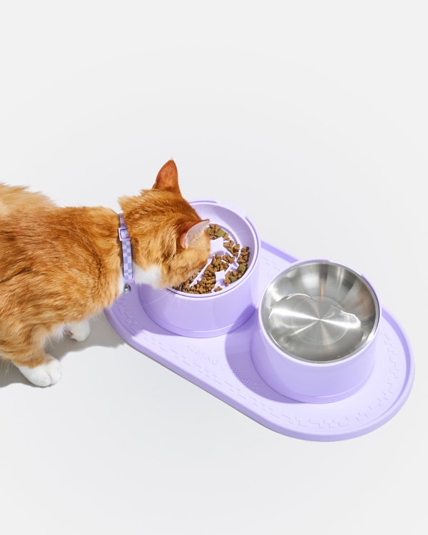 Wild One Cat Meal Kit Review