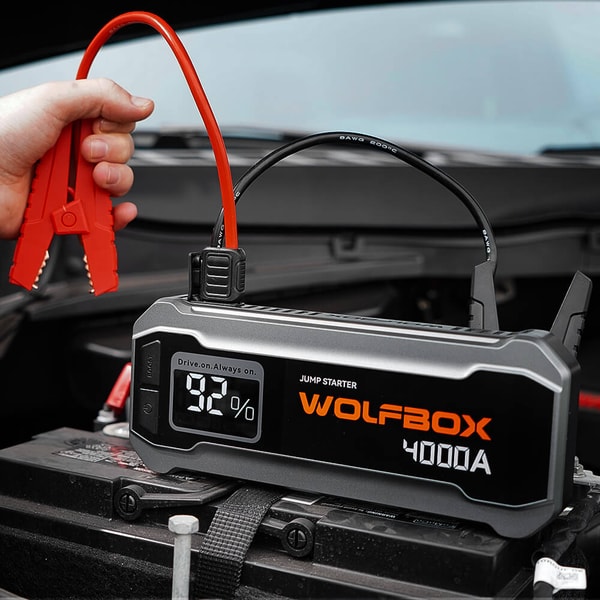 WOLFBOX के बारे में