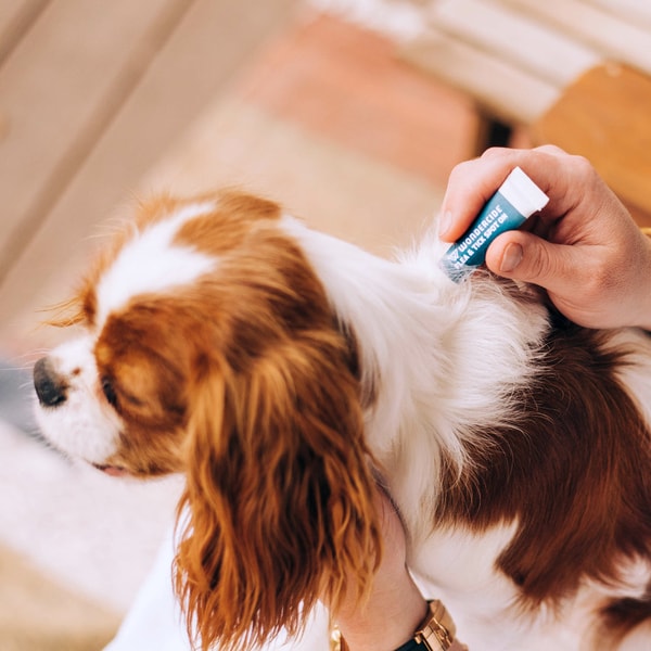 Wondercide Flea & Tick Spot On Reviews