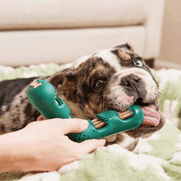 Woof The Bite n' Brush Review