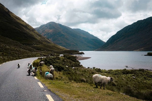 Ireland Road Trip Collection review