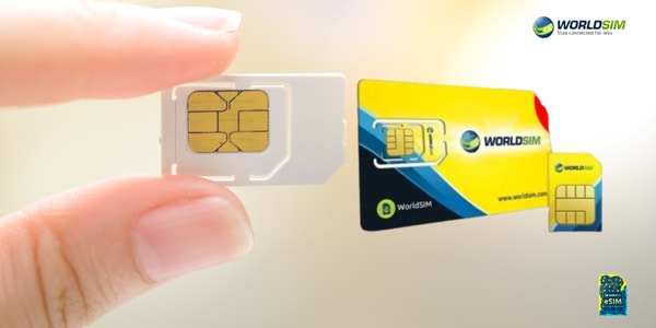 WorldSIM Review