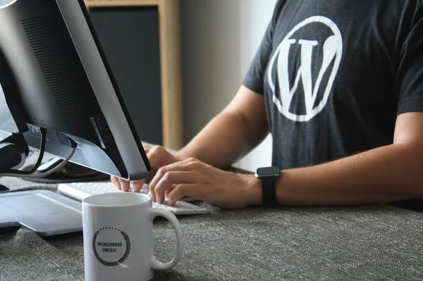 WP Kraken Review