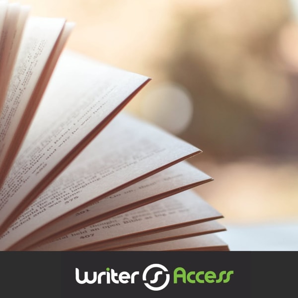 WriterAccess Basic Plan Review