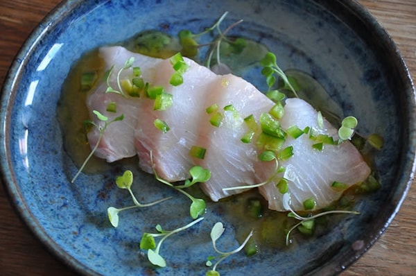 Overview of Wulf's Fish