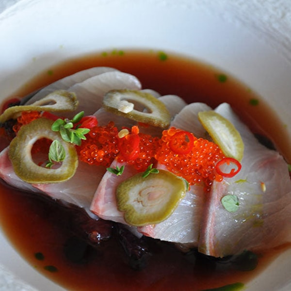 Wulf's Fish Spencer Gulf Hiramasa Kingfish Review