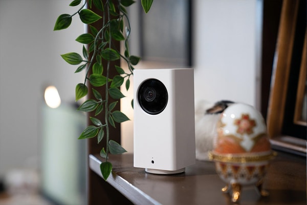 Wyze Global Overview