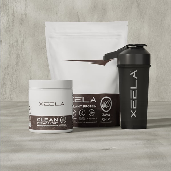Xeela ZANE'S TRANSFORMATION BUNDLE Review