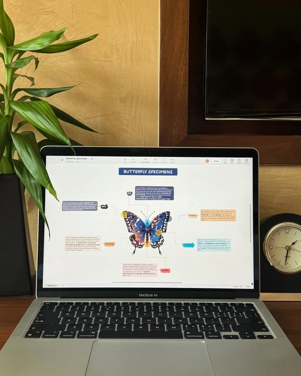 Xmind Project Management Tools Review