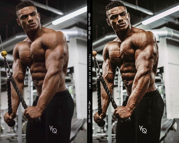 XO Fine Art GYM PRESETS Recenzie
